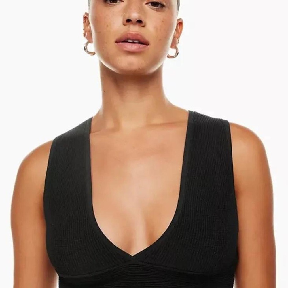 Aritzia Babaton Sculpt Knit Deep V Neck Crop Tank Top